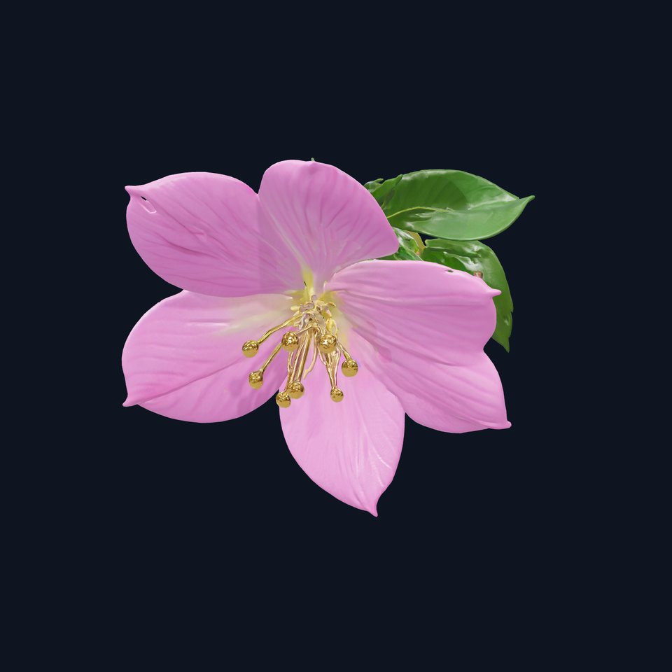 Delicate Pink Clematis Flower model pack